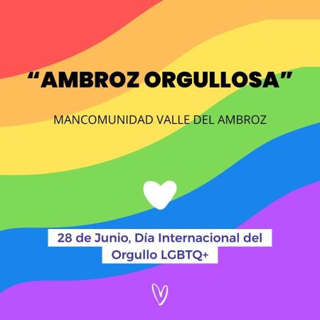 Imagen Acto de colocación de la bandera del día del Orgullo en la sede de la Mancomunidad